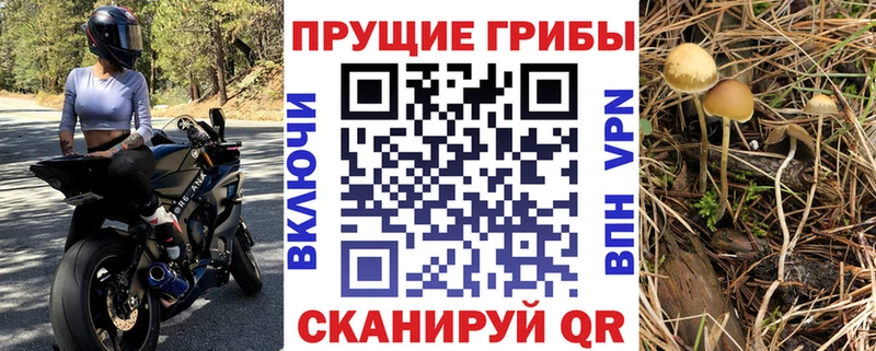 Галлюциногенные грибы мухоморы Арсеньев